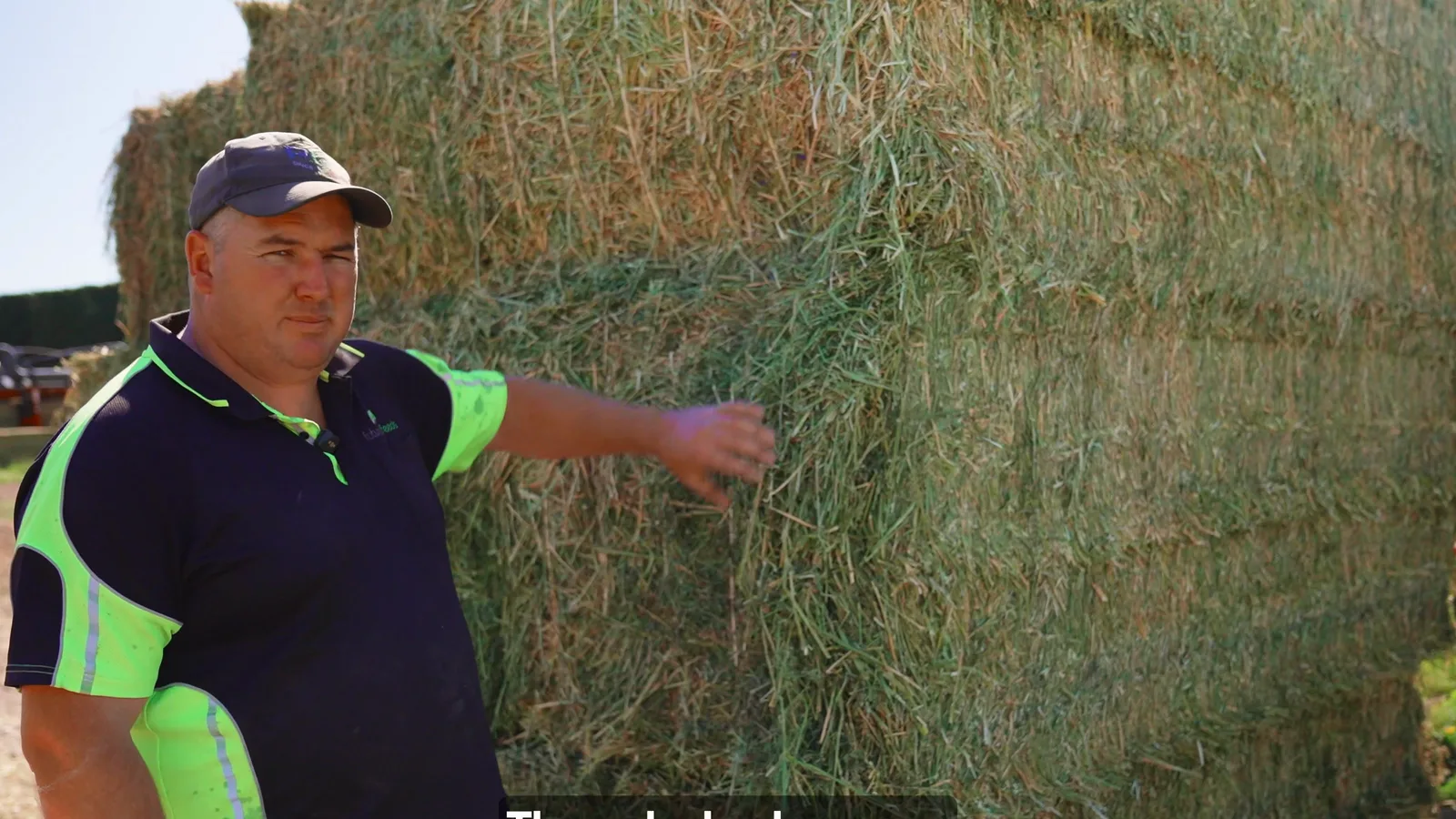 Dried hay bale after processing